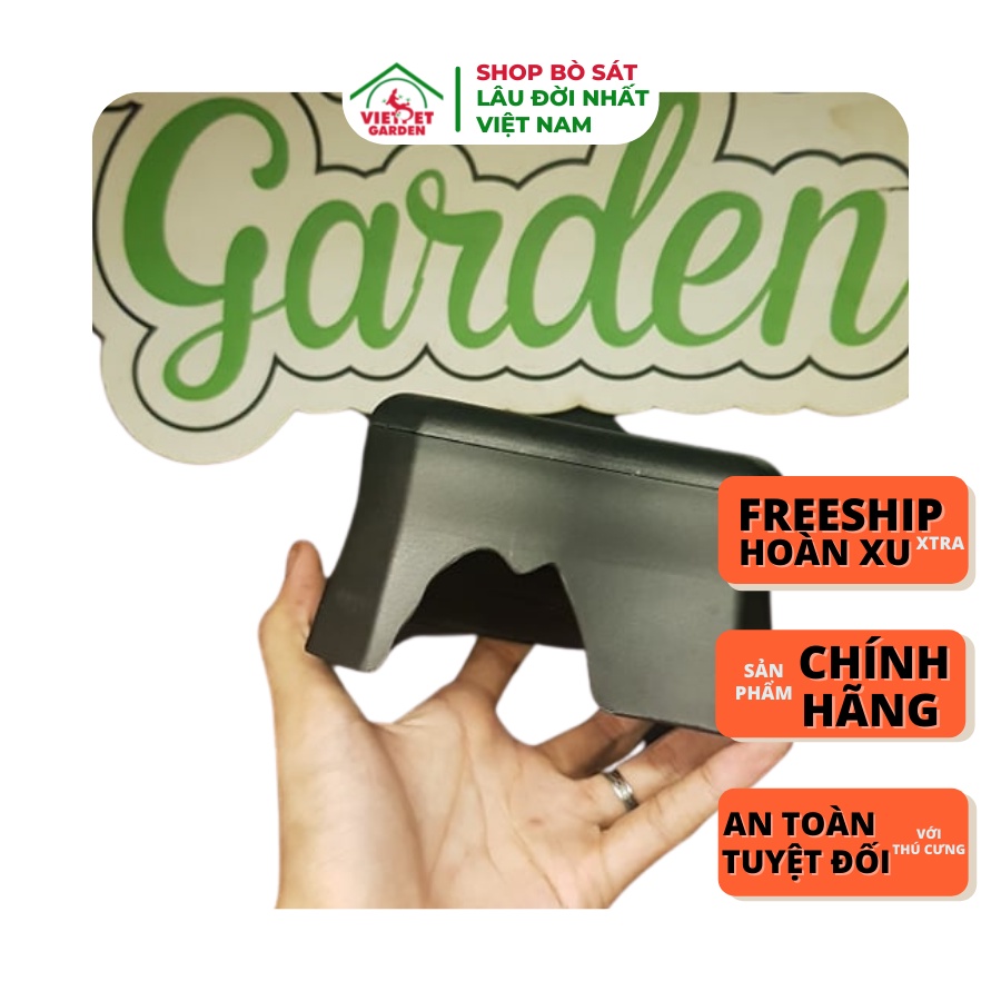 Hang trú ẩn cấp ẩm cho bò sát | Vietpetgarden