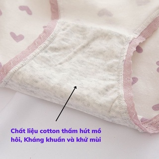 Quần lót nữ cotton cao cấp kháng khuẩn khử mùi ren viền sexy họa tiết cute dễ thương DEVARI L110