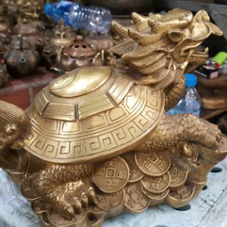 Rùa Đầu Rồng (Long Quy) cao 15cm
