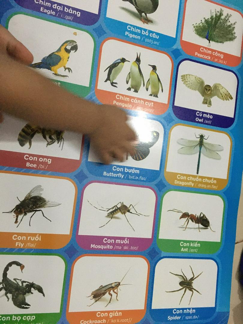 Ảnh đánh giá