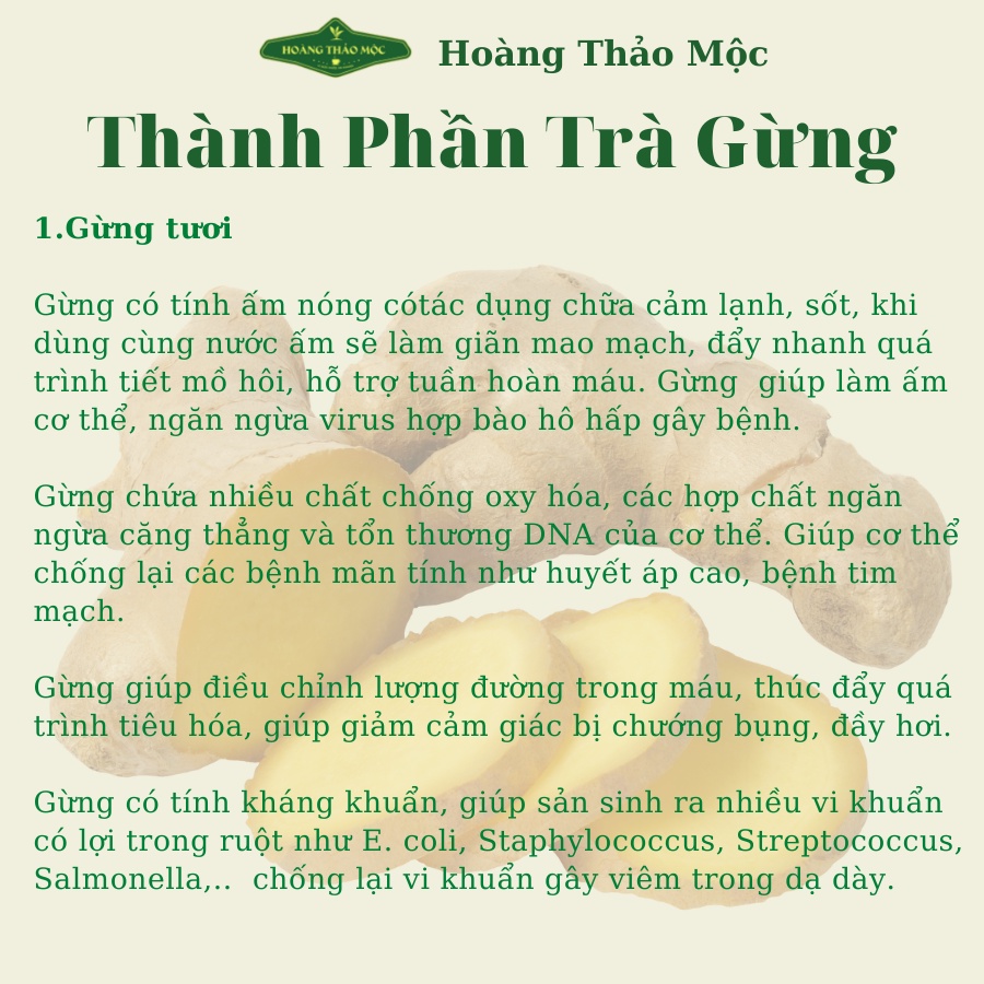Trà Gừng Trà Thải Độc Hoàng Hãng Thảo Mộc Chính Hãng  [Hộp 40 túi lọc]