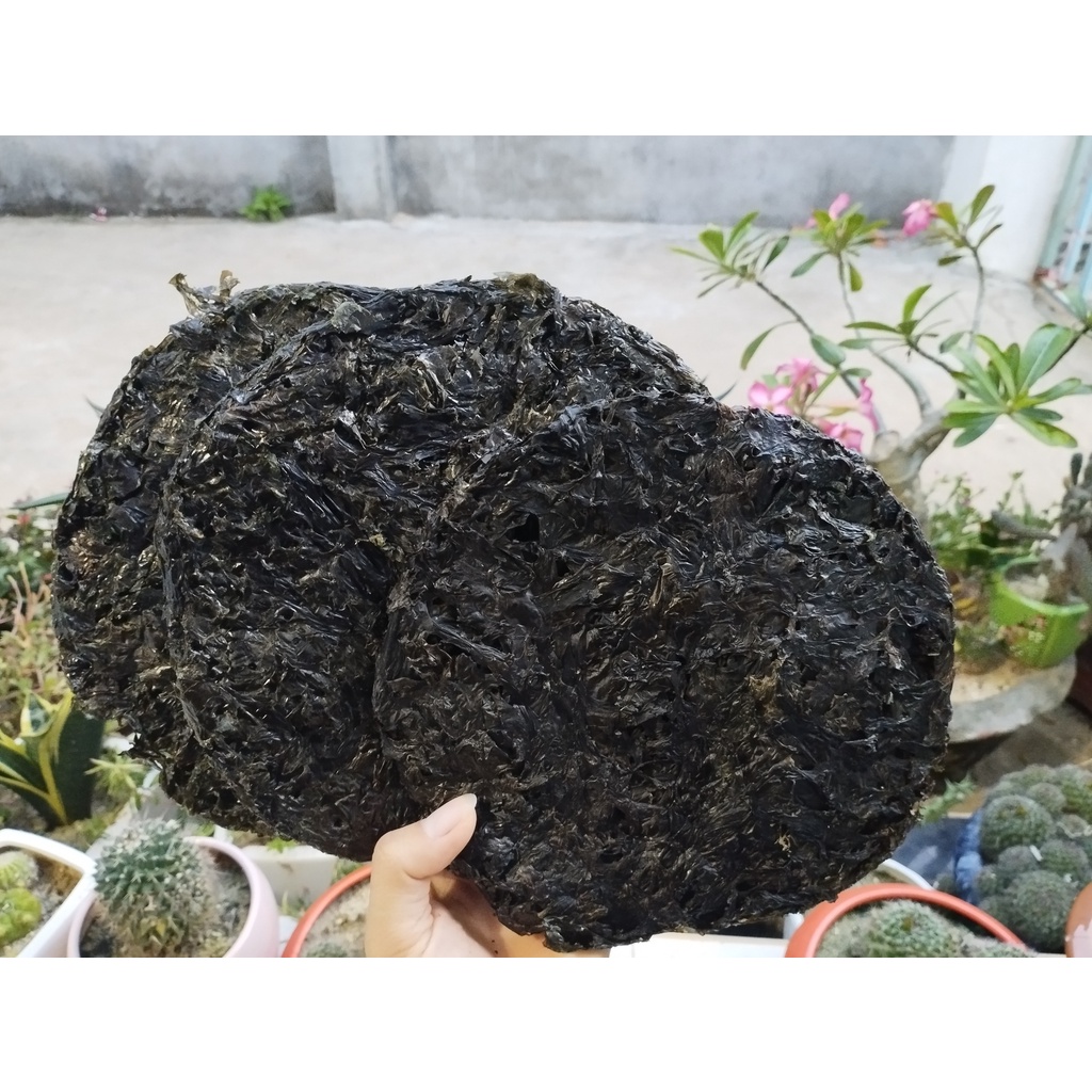 RONG MỨT (Rong biển đen)- Rong khô hoàn toàn Tự Nhiên 100% - Chuyên ...