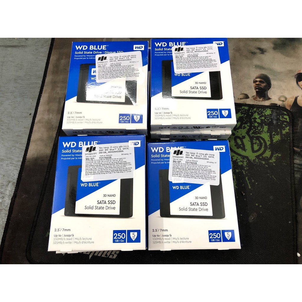 SSD WD Blue 250gb 500gb SATA III. NEW - BH 5 năm - Hàng chính hãng ...