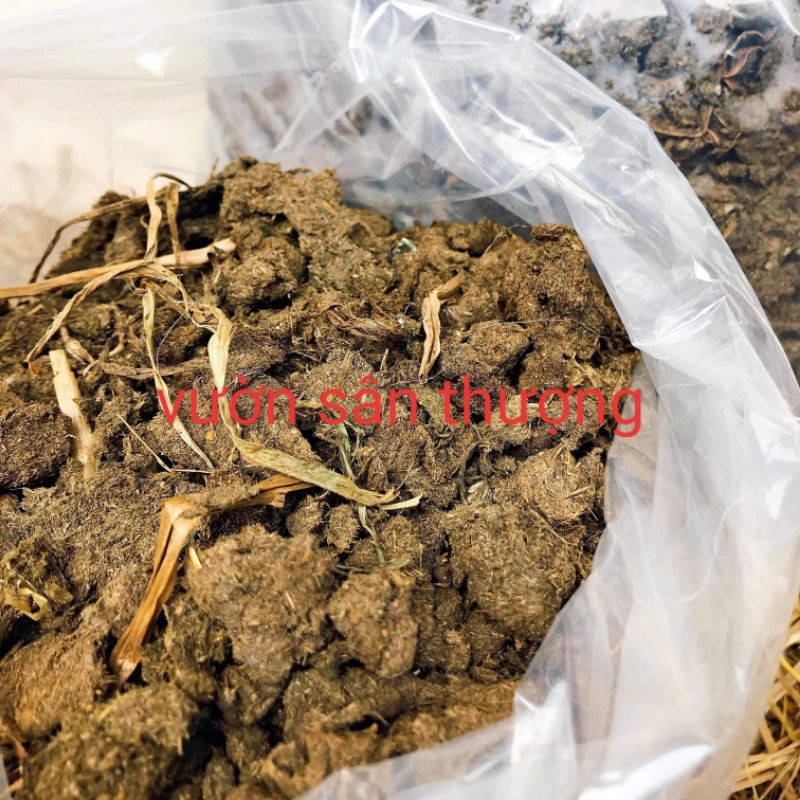 Phân Bò Thô Gói 5dm3 Tầm 1kg Dùng Bón Lót Trồng Rau, Củ, Quả, ổn Định PH Đất
