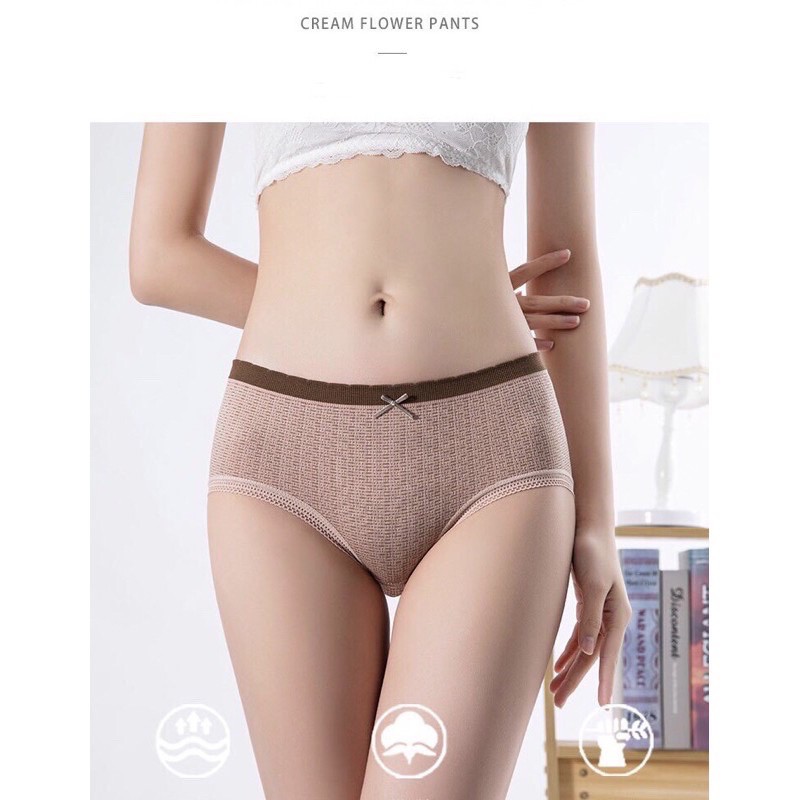 COMBO 10 QUẦN DỆT KIM THÔNG HƠI 3313