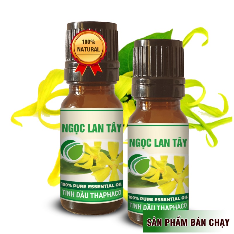 Tinh Dầu Ngọc Lan Tây Chất Lượng Cao 10ml Thaphaco