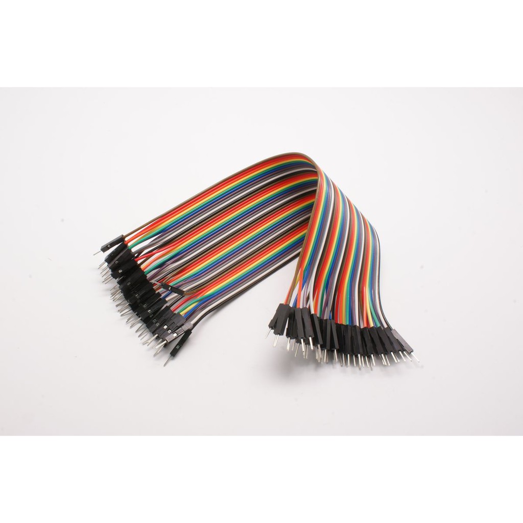 Dây bus 40pin 10CM | Shopee Việt Nam