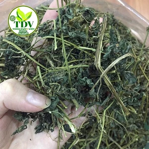 500g Trà giảo cổ lam Sapa 7 lá