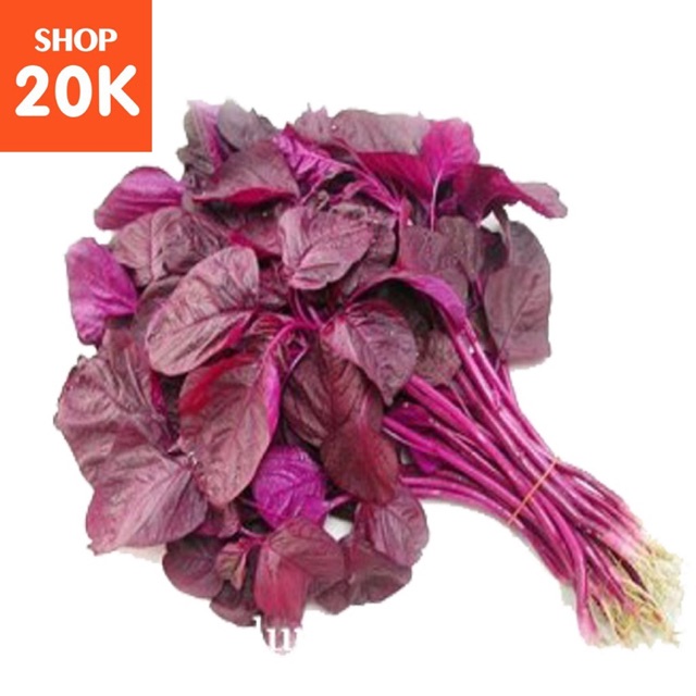 Giống Rau Dền đỏ | Shopee Việt Nam
