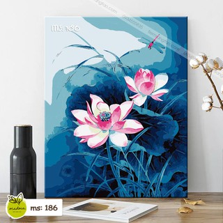 Tranh tô màu theo số kết hợp T186 và T187