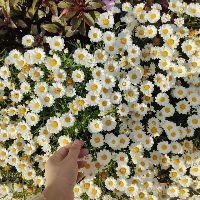 quynh28092001