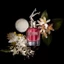 Nước hoa nữ Scandal Jean Paul Gaultier EDP chân dài sexy - Lia Perfume