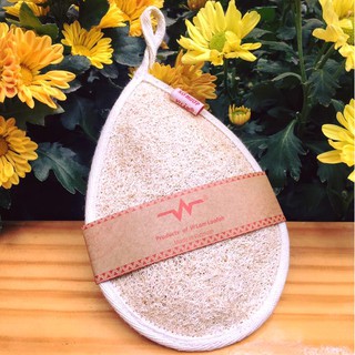 Xơ mướp tắm / BÁN SỈ / Bông tắm Xơ mướp, Massage, tẩy tế bào chết, Vi Lâm, giọt nước lớn BTXML