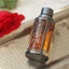 Nước Hoa H.u.go B.o.ss The Scent Intense EDP