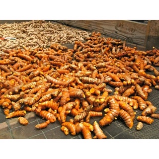 500gr củ nghệ vàng tươi nhà trồng Đak Lak