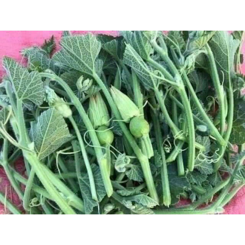 20gr hạt giống bí siêu ngọn mập f1 chất lượng cao 😍🧡Freeship ❤️💥chất lượng cao