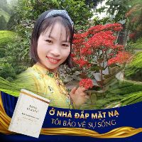 thaomipham1