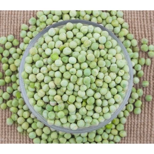 Đậu Hà Lan Sống Khô 1kg, Đậu Hà Lan Cho Bé, Trồng Rau Mầm