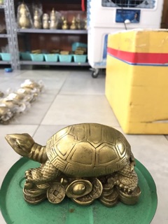 Rùa Mai Bóng Kim Quy Vật phẩm phong thủy bằng đồng Rùa đế tiển