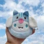 Dễ Thương 10cm Ví Đựng Tiền Xu Hoạt Hình Mini Ngoại Vi Sang Trọng Động Vật Dễ Thương In Ví Phụ Kiện Di Động Cô Gái