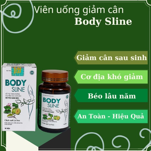 Thành phần chính của Body Sline