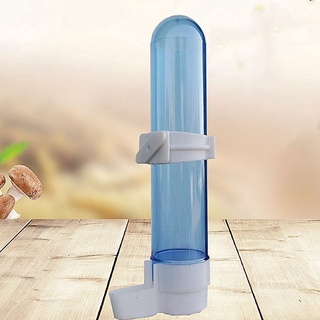 Bình Uống Nước Tự Động 240ml / 120ml Gắn Lồng Chim Vẹt