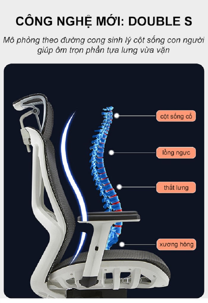 Ghế công thái học Spider 01 - Hỗ trợ cột sống