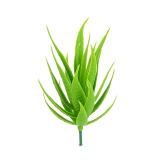 Cây Xương Rồng Giả Trang Trí Nhà Cửa