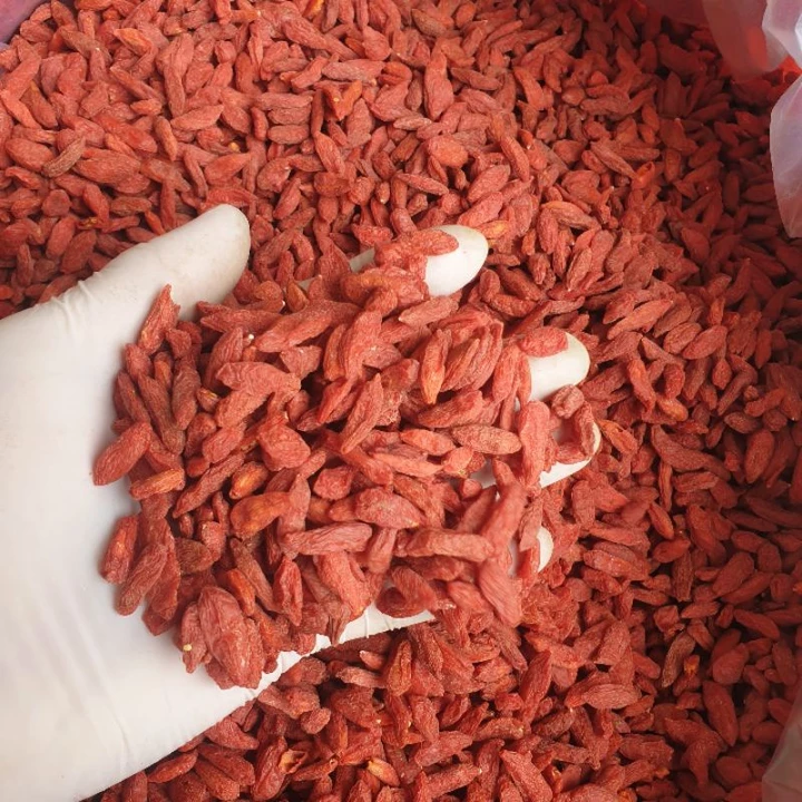 kỷ tử, câu kỷ tử 1kg