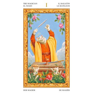 Bộ Bài Tarot of White Cats (Mystic House Tarot Shop) - Bài Gốc Authentic Chính Hãng 100%