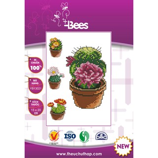 Bộ mẫu thêu chữ thập cây xương rồng