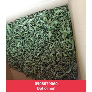 500gr Trà đọt ổi- lá ổi non thái nhỏ đã rửa sạch