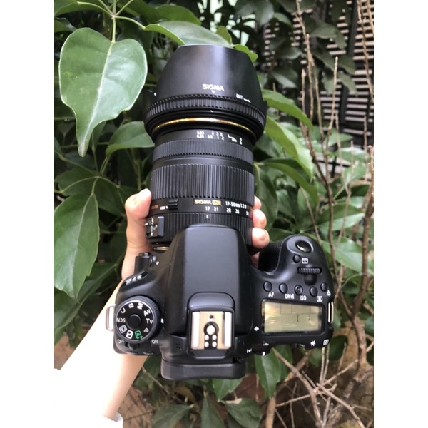 Canon 70D, Sigma 17-50mm, GodoxTT685, Canon 50mm