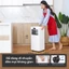 Máy lạnh di động 9000BTU nhập khẩu FUJIHOME phòng 10-35m2,điều hòa di động 1 cục làm lạnh kết nối WIFI portable air con