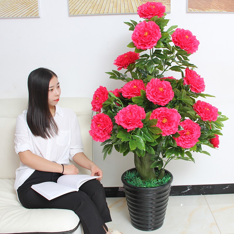 Chậu Hoa Mẫu Đơn Cao 1M2 | Shopee Việt Nam