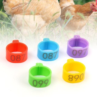 Set 50 Vòng Đệm Chân Vịt/Gà/Vịt 6 Màu Bằng Nhựa 01-50 16mm