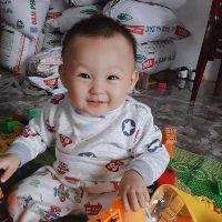 dangphuchung231