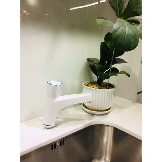 Vòi lavabo tay vặn WATERTEC màu trắng WT0063 nhựa ABS/PP/POM Malaysia chống oxy hóa