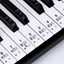 POP 54 61 88 Phím Đàn Piano Bàn Phím Dán Bàn Phím Điện Tử Cho Phím Đàn Piano Stave