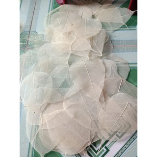 [sz đt] Set 10 xương lá bồ đề tự nhiên size vừa điện thoại