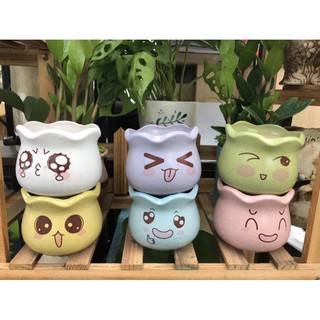 chậu dễ thương mặt cảm xúc