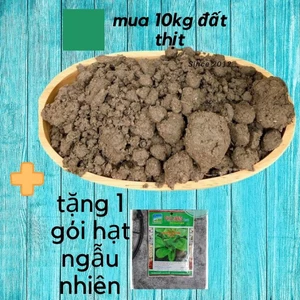 Đất Thịt Trồng Cây 10kg, Tặng 1 Gói Hạt Ngẫu Nhiên