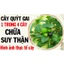 Cây quýt gai khô JINDO 1kg