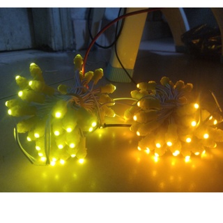 Đèn Led F5 12V dùng trang trí sân vườn, cuốn cây (ducphong)