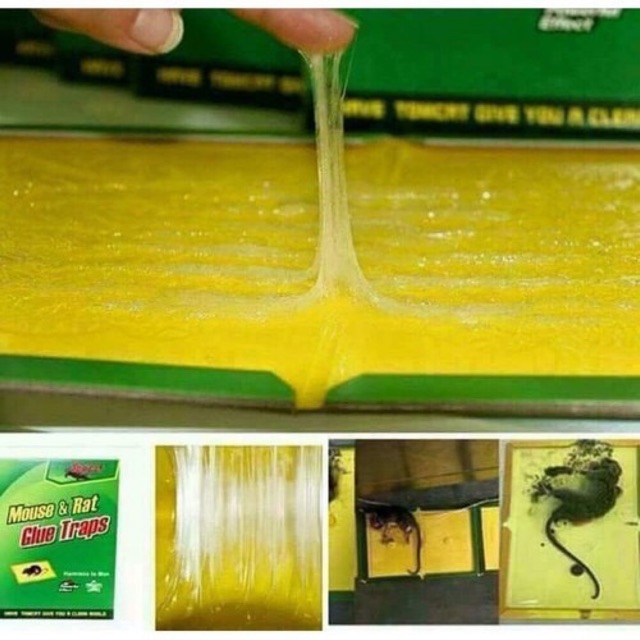 Combo 3 miếng dán bẫy chuột siêu dính tiêu diệt chuột nhanh chóng