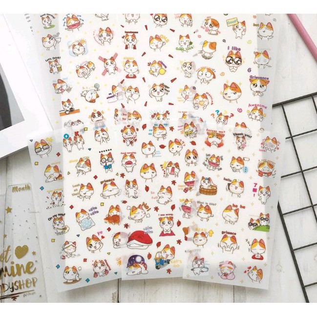Bộ 6 Sticker mèo con (túi) nguồn hàng giá rẻ | Shopee Việt Nam