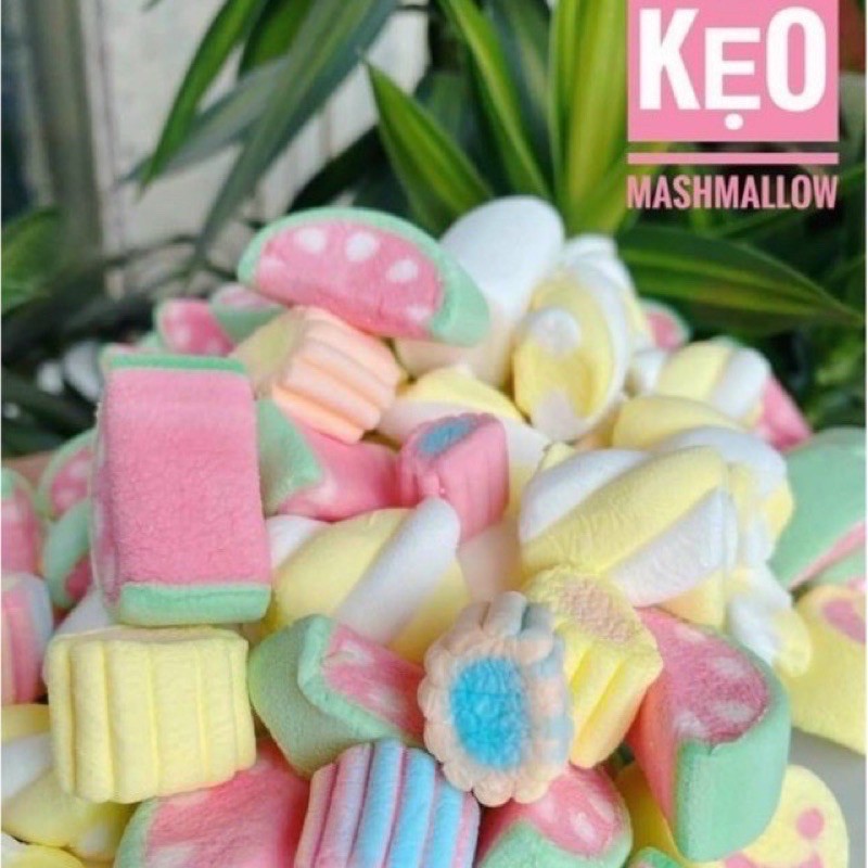 Kẹo Bông Maslow loại ngon -1Hộp 250G