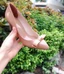 Giày cao gót bít mũi nữ 5 phân mũi nhọn Annmodels thời trang công sở phối nơ xinh_A026NL