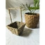 Giỏ Cói Mini Decor Studio, Đựng Chậu Hoa Nhỏ Trang Trí ,có ảnh thật