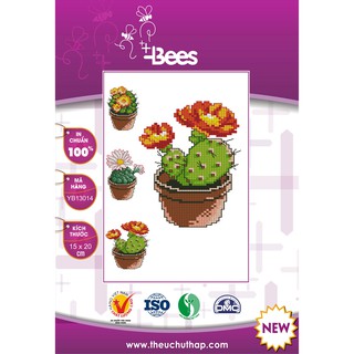 Bộ mẫu thêu chữ thập cây xương rồng